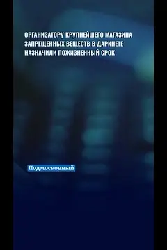 The Moscow Times' short report on the life sentence
